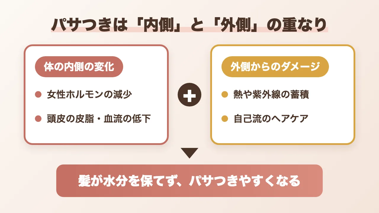 40代の髪がパサつく原因の図解:体の内側の変化と外側からのダメージが重なり、髪が水分を保てずパサつきやすくなる