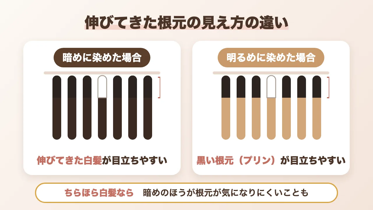 伸びてきた根元の見え方の違いの図解：暗めに染めると伸びてきた白髪が目立ちやすく、明るめに染めると黒い根元（プリン）が目立ちやすい