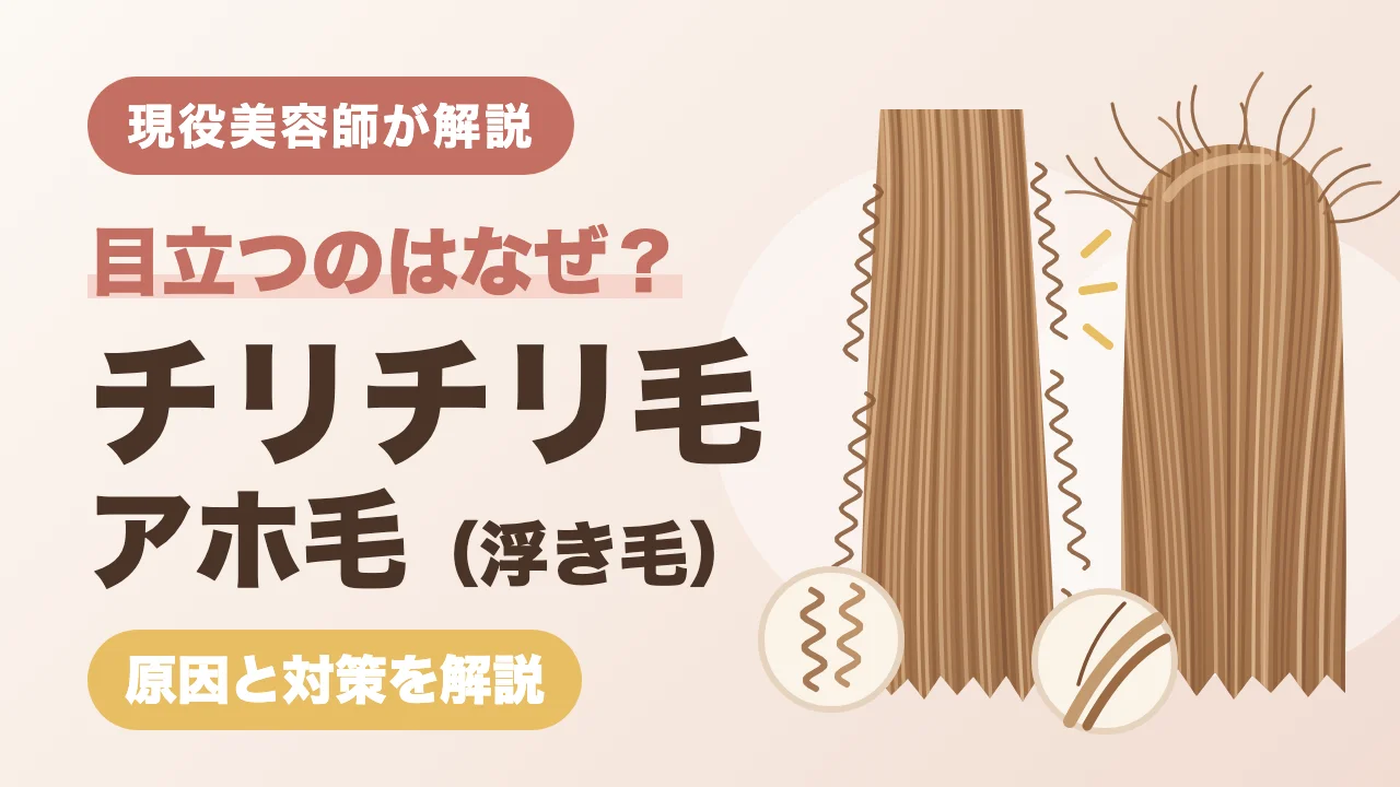 チリチリ毛・アホ毛が目立つのはなぜ？【美容師解説】原因と対策