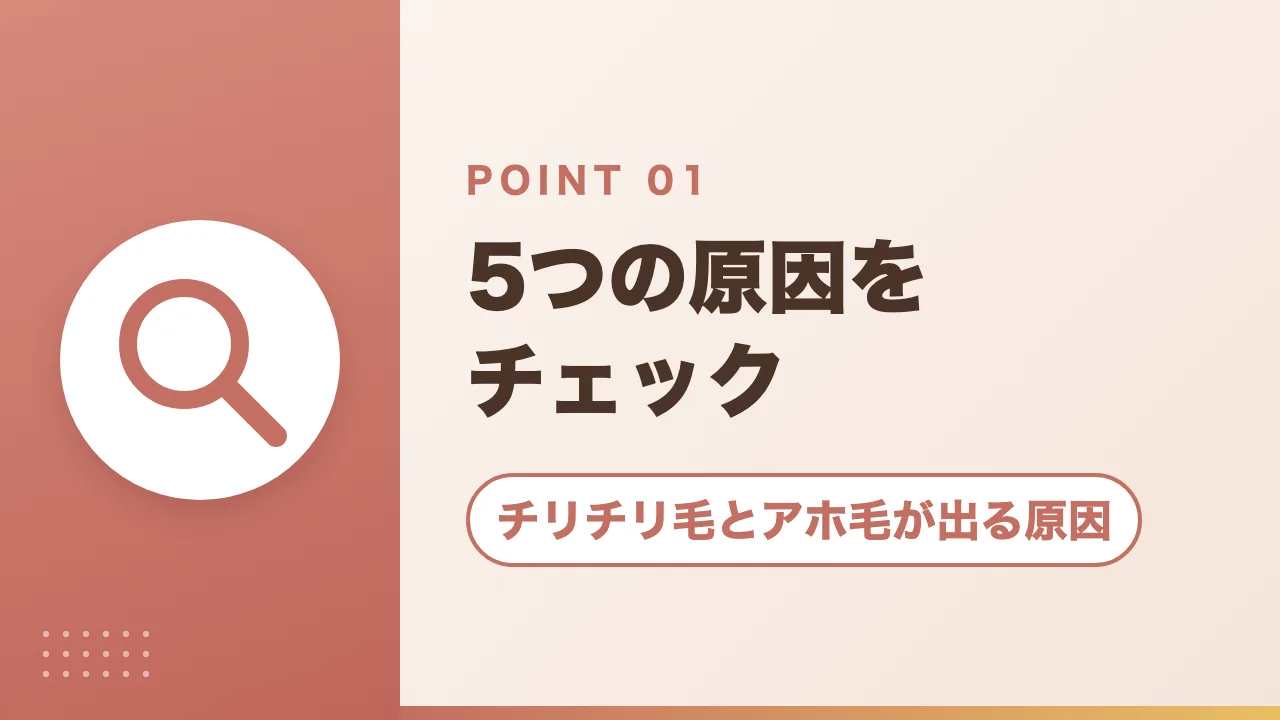 チリチリ毛とアホ毛が出る原因｜5つの原因をチェック